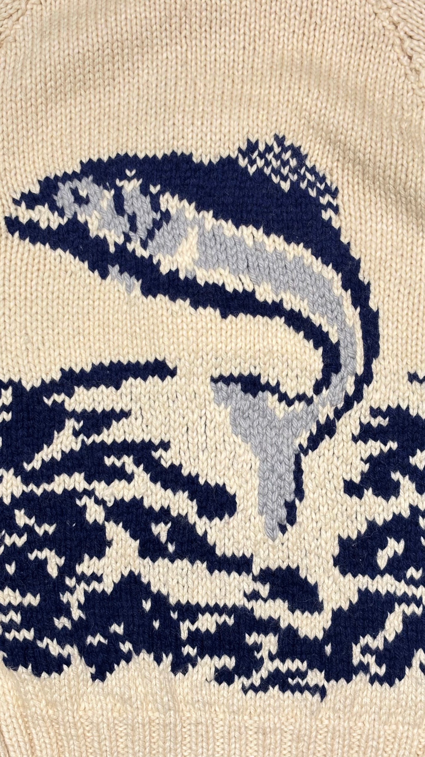 Fish Graphic Cowichan Sweater
