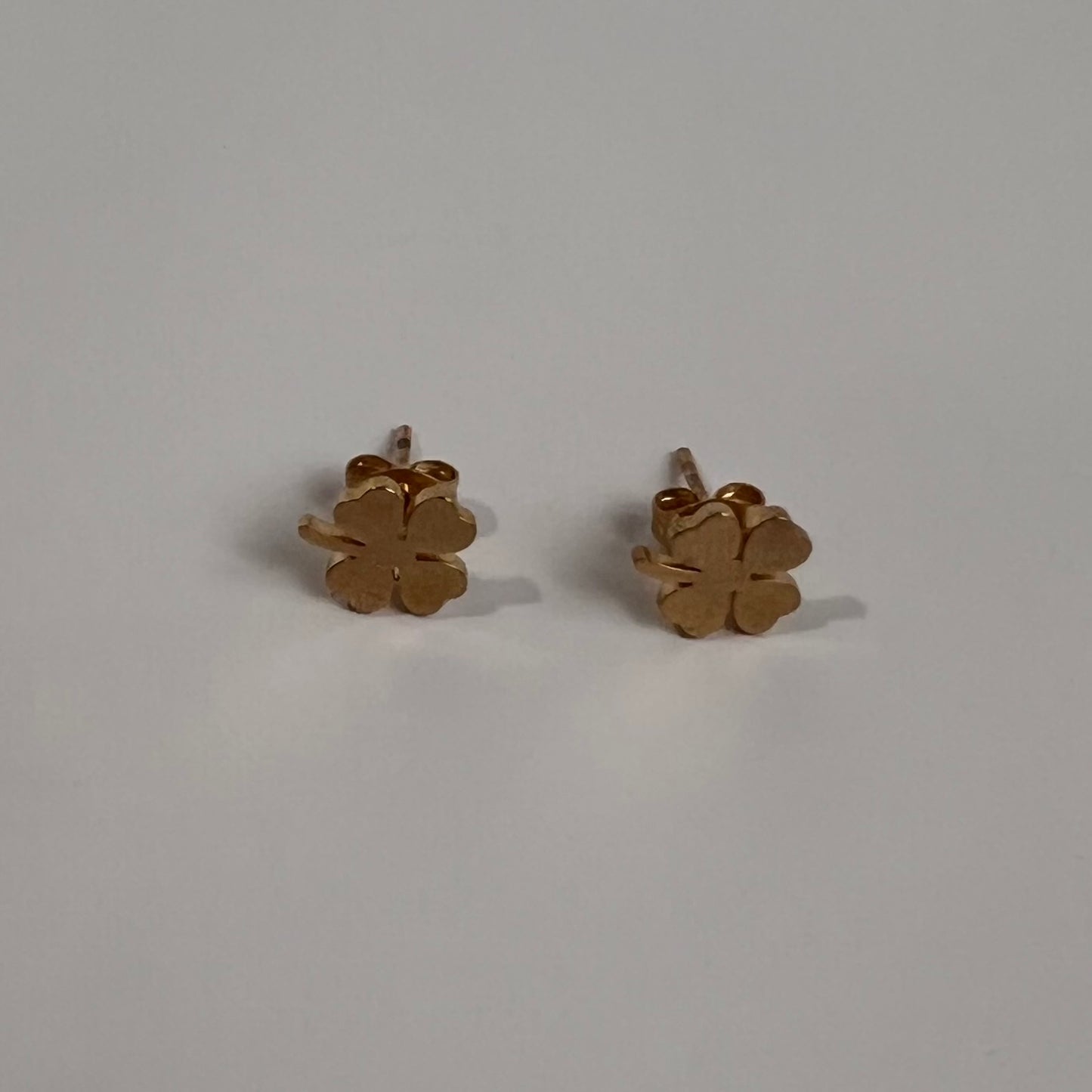 Luck Outlast Stainless Steele Earring