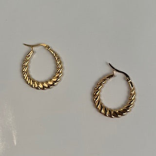 Shine Outlast Stainless Steele Earring