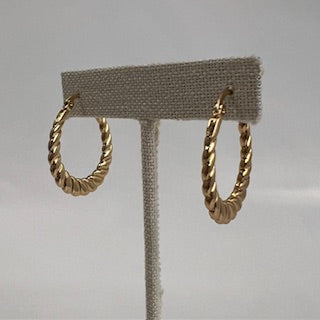 Shine Outlast Stainless Steele Earring