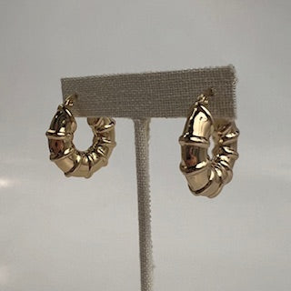 Power Outlast Stainless Steele Earring