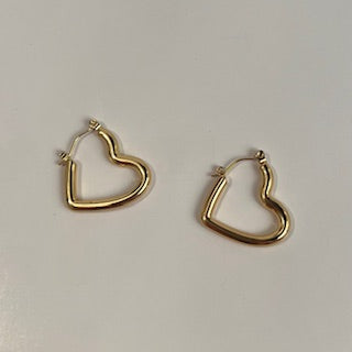 Charm Outlast Stainless Steele Earring