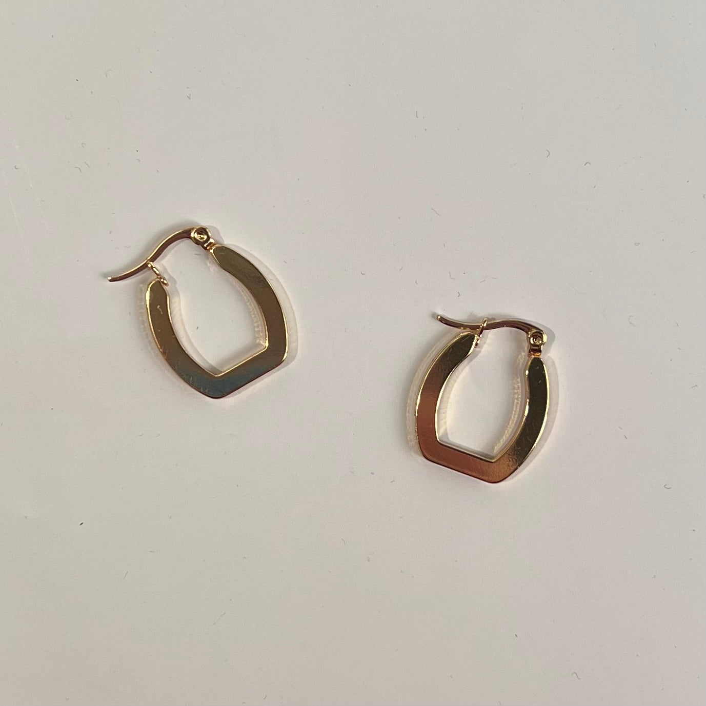 Frost Outlast Stainless Steele Earring