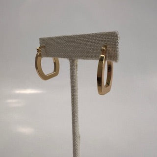 Frost Outlast Stainless Steele Earring