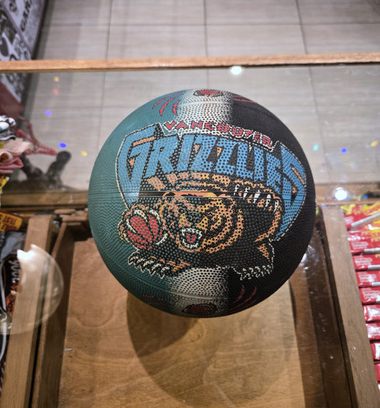 Grizzlies Basketball