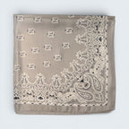 Paisley & Bandana Print Silk Like scarf