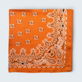 Paisley & Bandana Print Silk Like scarf