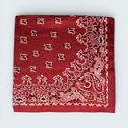 Paisley & Bandana Print Silk Like scarf