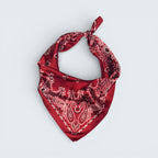 Paisley & Bandana Print Silk Like scarf