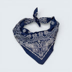 Paisley & Bandana Print Silk Like scarf