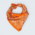 Paisley & Bandana Print Silk Like scarf
