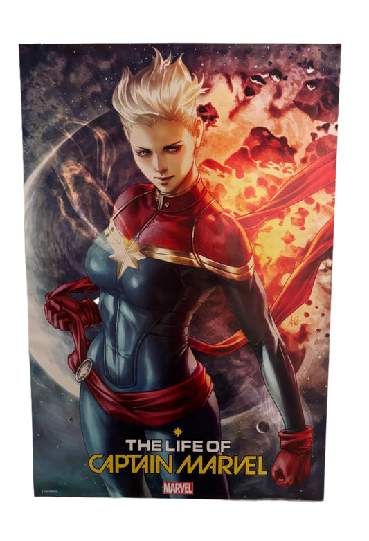 The Life of Captain Marvel Poster