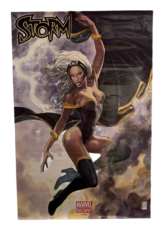 X-MEN Strom Poster