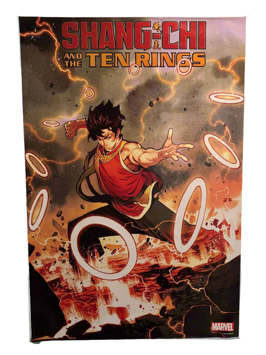 Shang-Chi & The Ten Rings Poster