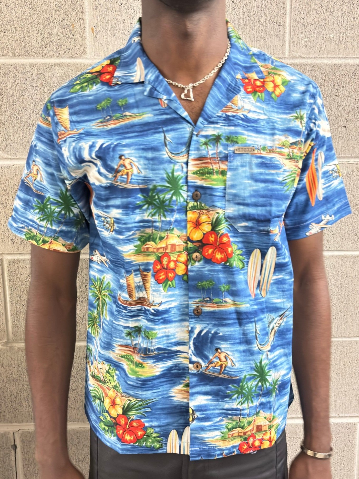 Blue Hawaiian Island Scene Camp Collar Shirt