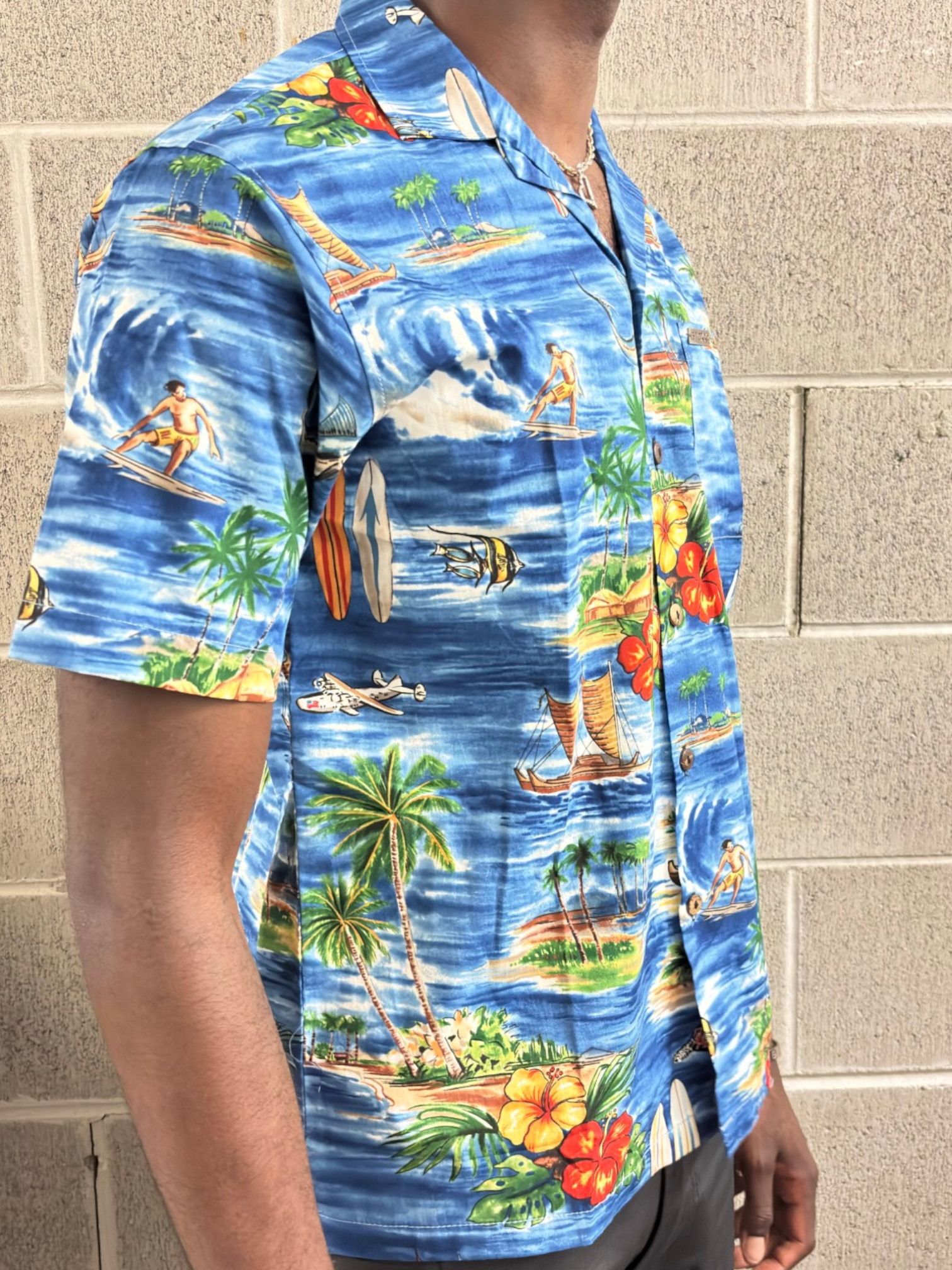Blue Hawaiian Island Scene Camp Collar Shirt