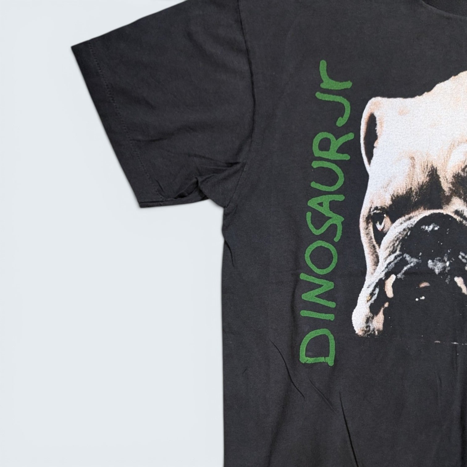 Dinosaur Jr. "Whatever's Cool with Me" Tee - XL