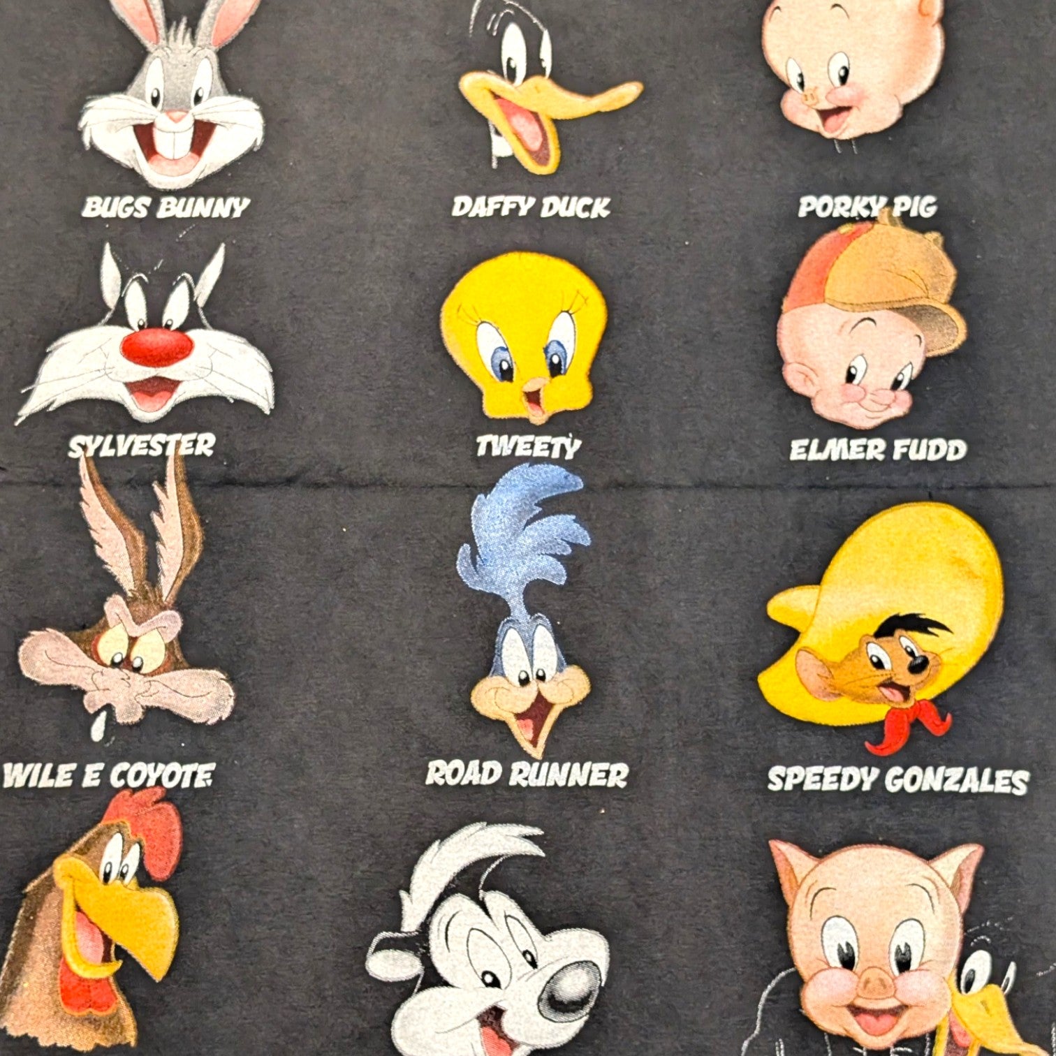 Looney Tunes Characters Tee