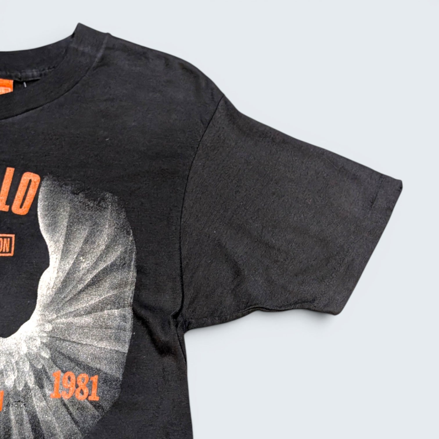 Harley Davidson Buffalo Tee- Size L