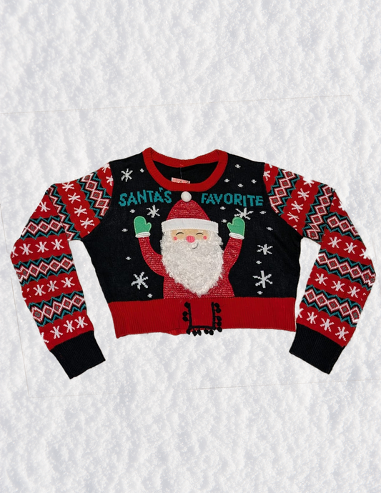 Santa's Favorite Christmas Sweater