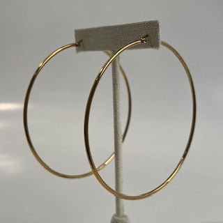 Halo Outlast Stainless Steele Earring