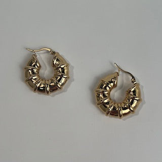 Power Outlast Stainless Steele Earring